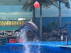 -海合安成都极地海洋公园