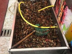 -赵氏老北京涮羊肉羊蝎子(蓝村店)