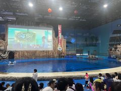 -华夏文旅海洋公园