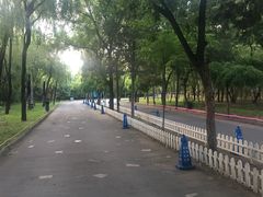 -枫花园汽车电影院(朝阳公园店)