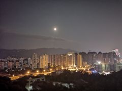 -金鸡山公园