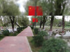 -渭滨公园