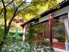 -十八棵（老龙井）御茶园(老龙井店)