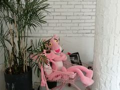 -有猫主题·治愈系猫咖(曾厝垵店)
