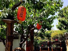 -慢丽江·云南野生菌土鸡锅(西山店)