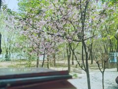 -思念果岭悦温泉