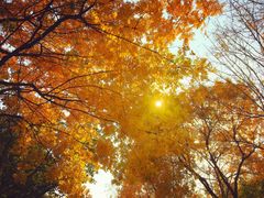 -网易（杭州）网络有限公司