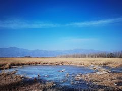 -野鸭湖国家湿地公园