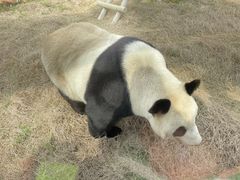 -苏州太湖国家湿地公园