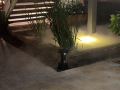 -羊门客在·烤盐池滩羊·川菜