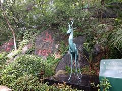 -北极阁公园