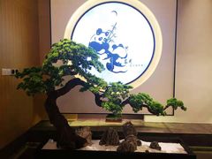 -享月汤皇·海鲜小火锅·聚会(曲江创意谷店)