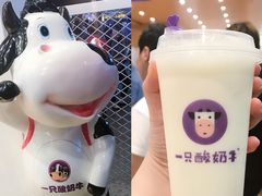 -一只酸奶牛(八一路店)