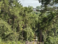 -青龙山国家森林公园
