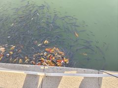 -济南方特东方神画