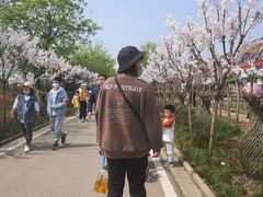 -武汉紫薇都市田园