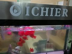 -爱齿尔口腔美学种植中心(永清院)