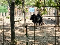 -人民广场-地下停车场