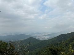 -梧桐山风景名胜区