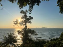 -卷心菜和避孕套餐厅(Pattaya)