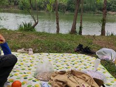 -白鹭湾湿地公园