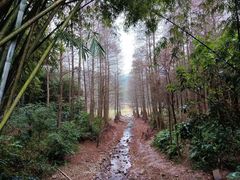 -广州市白云山风景名胜区