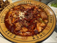 -邵年鸽(杨庄店)