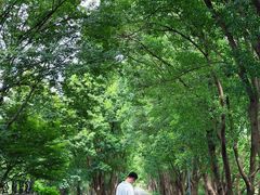 -同里国家湿地公园