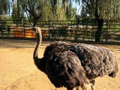 -羊亭河湿地公园