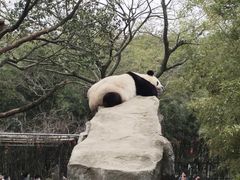 -宁波野生动物园