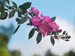 -上海山野camping·户外天幕烧烤·团建拓展营地