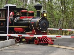 -合肥滨湖国家森林公园