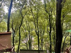 -巴倒烫陆派火锅山庄(南山总店)