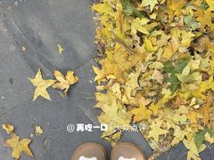 -VOYAGE COFFEE(杨梅竹店)