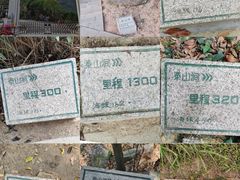 -梧桐山风景名胜区