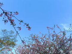 -南山风景名胜区