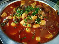 -百口川老火锅(西科大新区店)