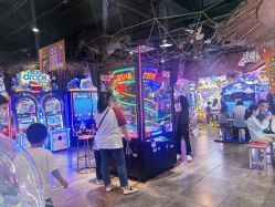 -卡通尼·Safari非洲探索乐园·生日会(金桥国际商业广场店)