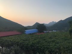 -狼牙山风景区