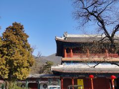 -潭柘寺景区