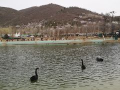 -静之湖度假区