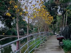-喜洲吧·江畔老船厂·庭院餐厅(喜临院店)