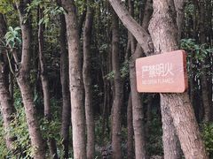-嘉北郊野公园