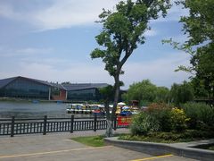 -上海长兴岛郊野公园