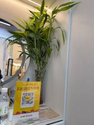 -诗碧曼养发