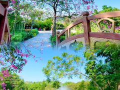-丹樱生态园
