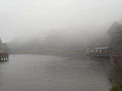 -广州市流溪河国家森林公园