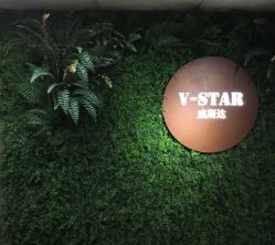 -V-STAR威斯达•高级私人定制