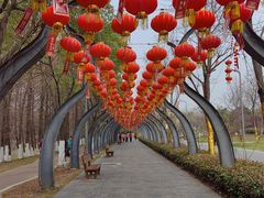 -武汉园博园(武汉自然博物馆)