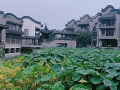 -龙潭水乡